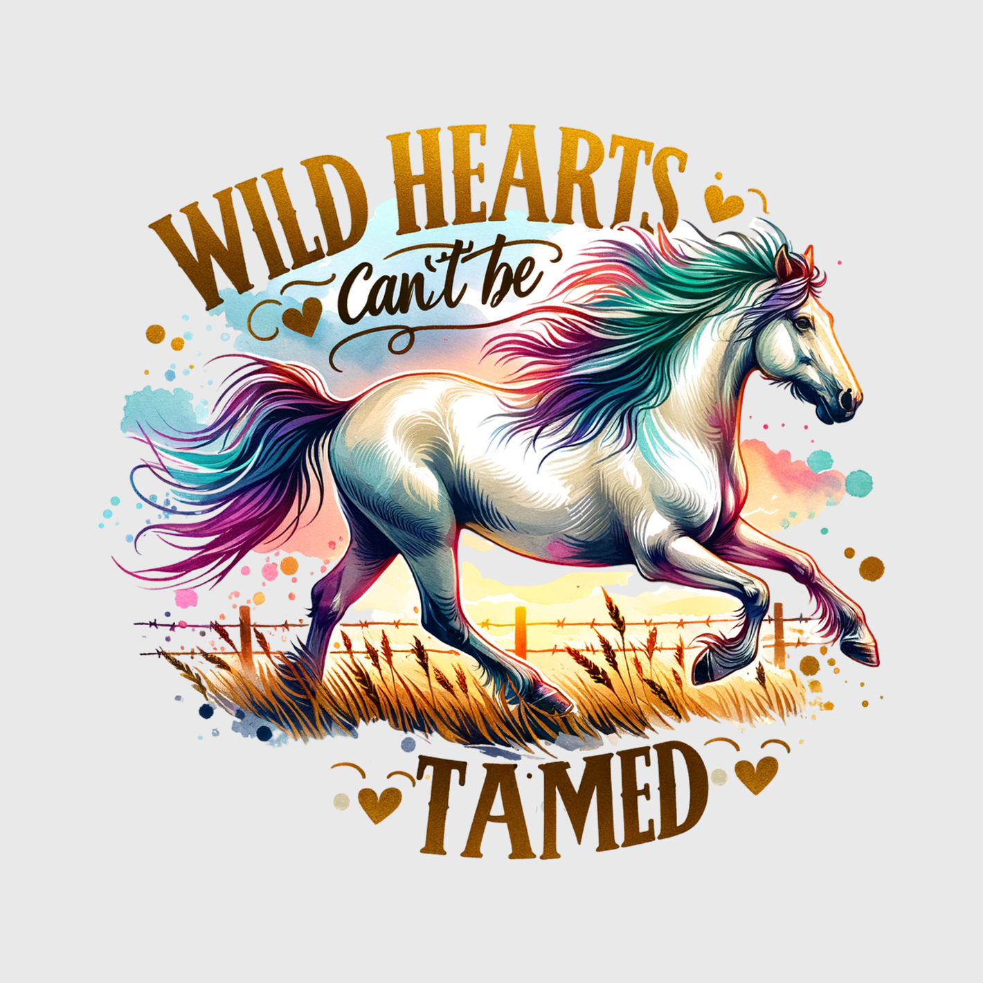 Wild Hearts Adventure Transfer