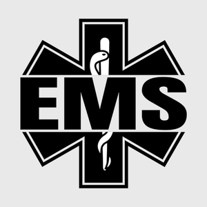 EMS Bold Black Cross Transfer