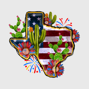 American Fireworks And Cactus Patriotic Transfer