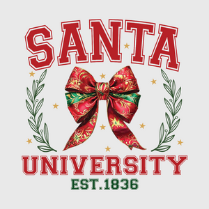 Santa University Transfer