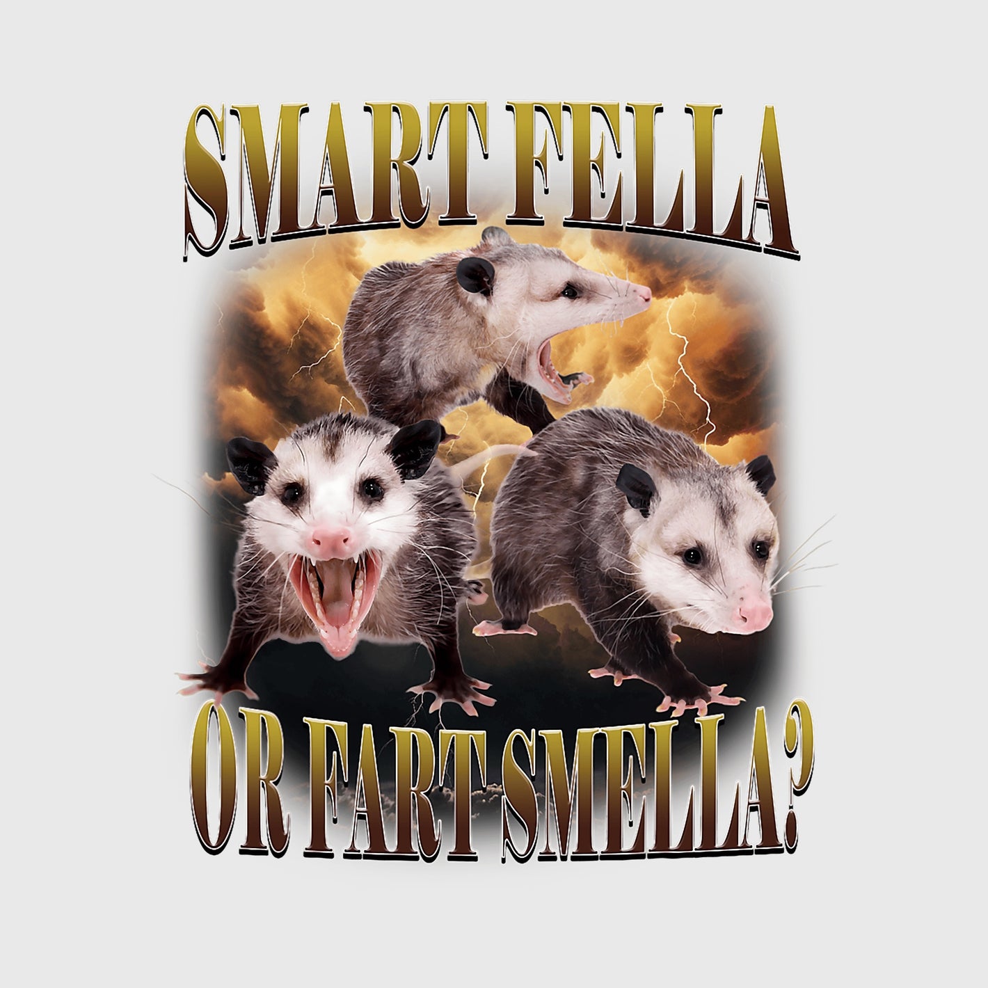 Smart Fella Possum Transfer
