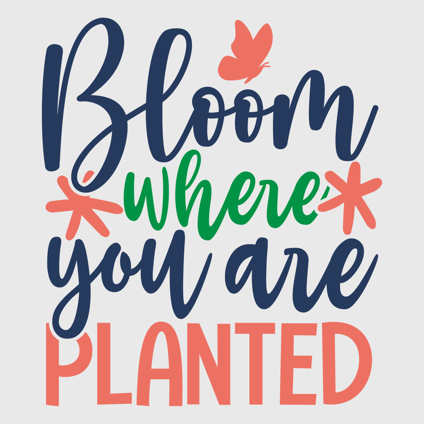 Bloom Where You Are Transfer