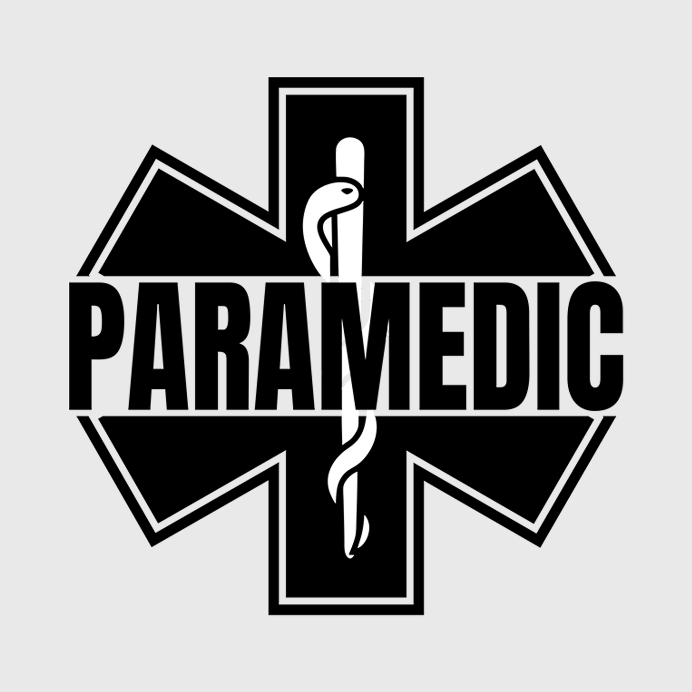 American Paramedic Flag Transfer