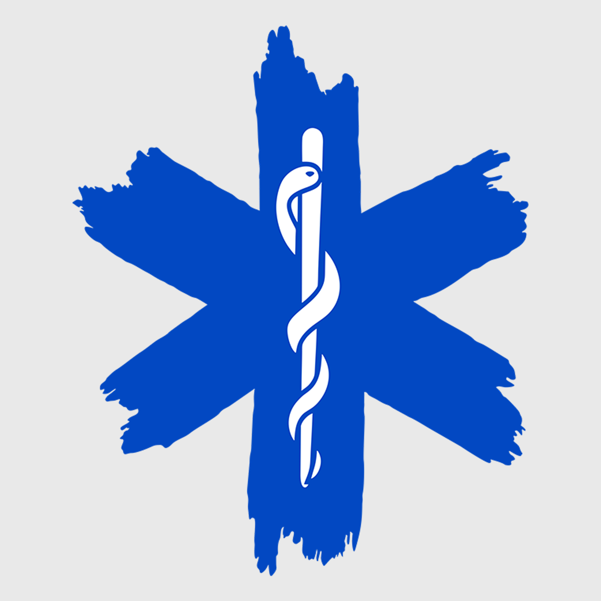 Star Paramedic Program Paramedic Star of Life Transfer | ILTEX Transfers