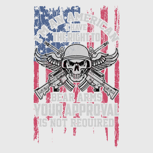 Skull Patriot Wings Transfer