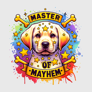 Master Of Mayhem Golden Retriever Transfer