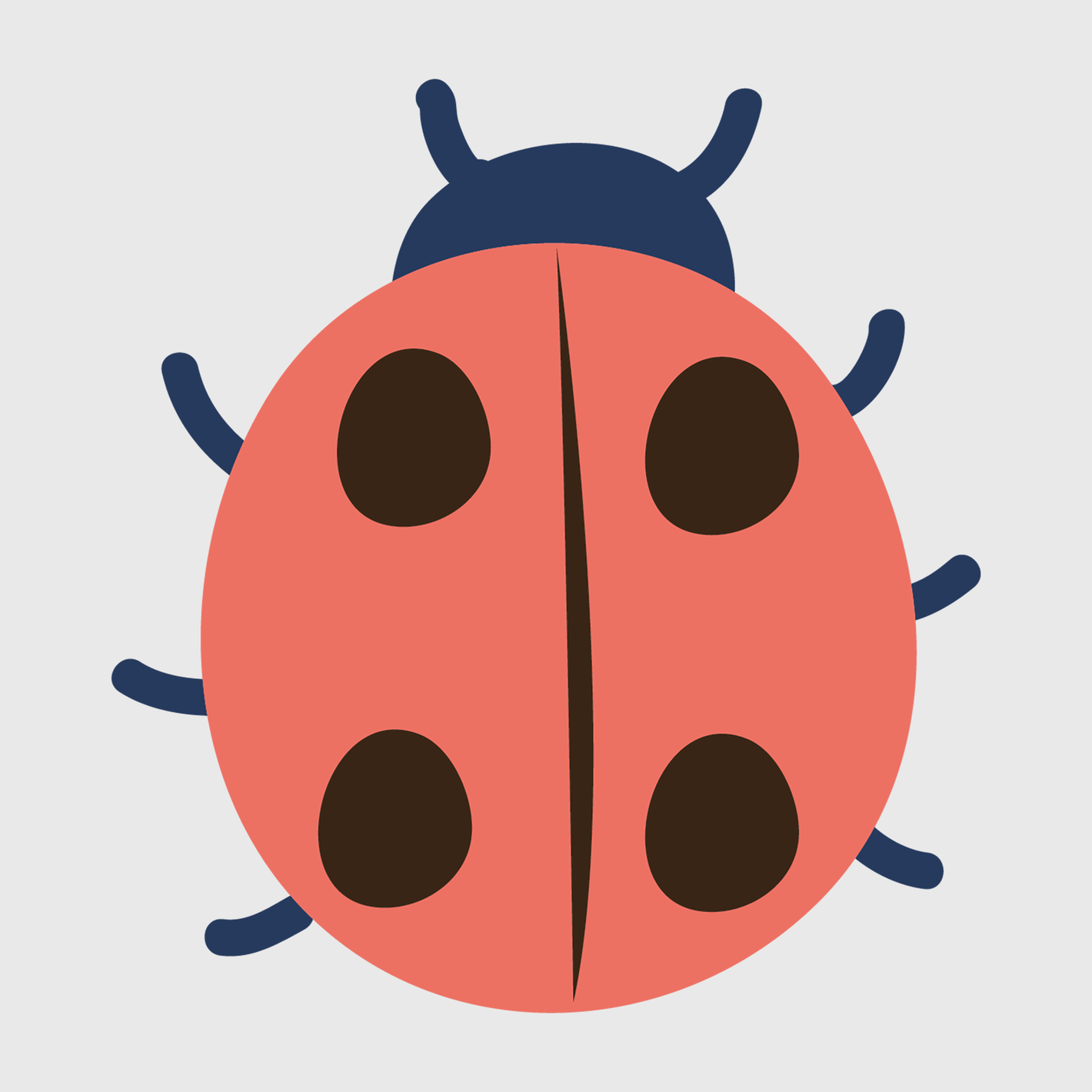 Ladybug Spring Transfer