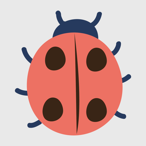 Ladybug Spring Transfer