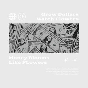 Wealth Garden Growth Transfer