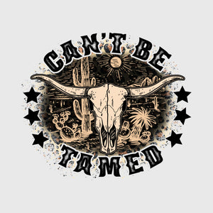 Untamed Longhorn Desert Transfer